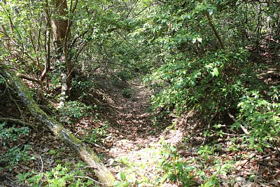 先に進むと塹壕状の通路が続きます