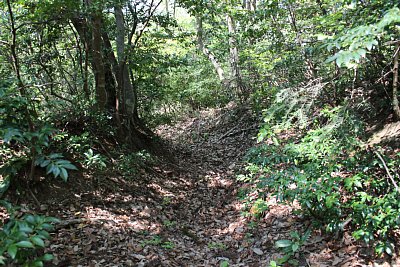 狭く曲がりくねった通路が続きます