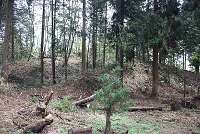 雲龍寺跡の大土塁・・・古墳なのですね