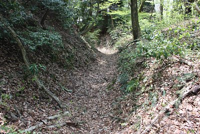 片山大道は空堀のような塹壕が続きます