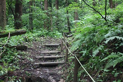 ここもかなりの急勾配です