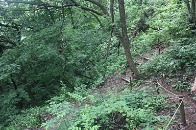 上から見た通路ですが・・・ここでも分岐しています