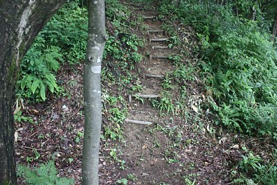 二ノ丸への通路は急です