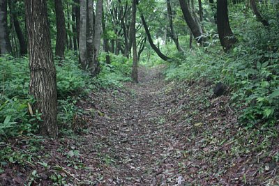 二ノ丸の北側にも空堀が続きます