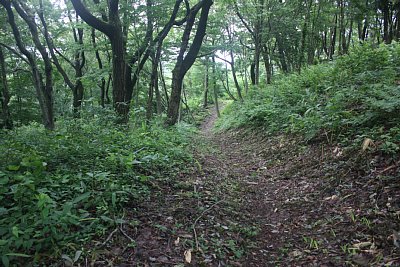 空堀は延々と続きます