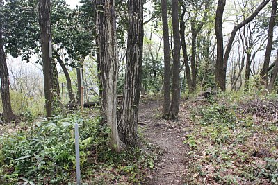 にらみ山砦はせいぜい監視所程度の規模でしょう