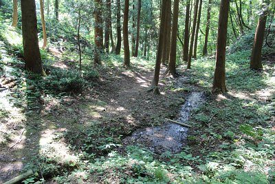 バッパショウズへの下り道もかなりの急勾配です