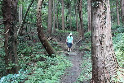 どうも途中に特段の防御施設が見あたらないのですが