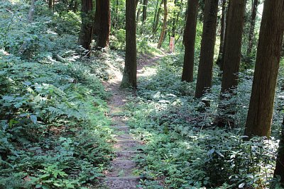 さらに下ると何か看板が