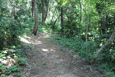 山道が続きますがここは比較的平坦です