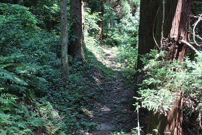 特に防御施設はなかったですね