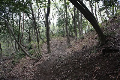 本丸の周囲に切岸が巡らされています