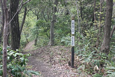 さらに元取山山頂を目指します