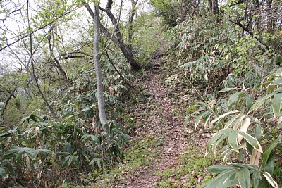 あまりにも急勾配の登山道です