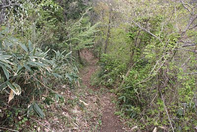 山頂から降りる通路もあまりにも急勾配です