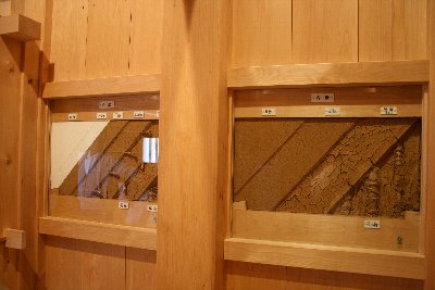 河北門二の門内部に展示されている壁の構造