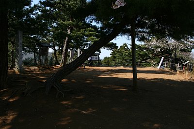 春日山城本丸跡全景