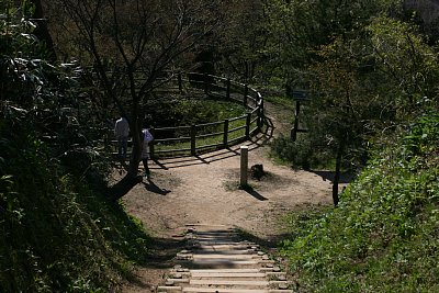 春日山城本丸から井戸曲輪を見る