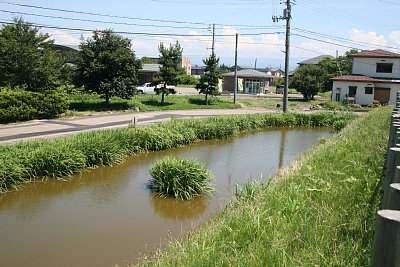 春日山城跡史跡広場　監物堀