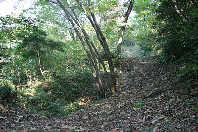 畝状竪堀群の入口です