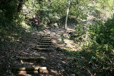 階段の右側には大きな堀切が