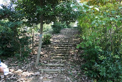 主郭への階段を登ります