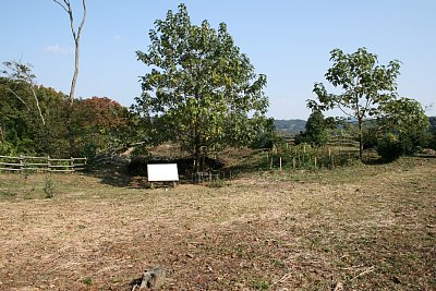 主郭にはどんな建物があったのだろうか