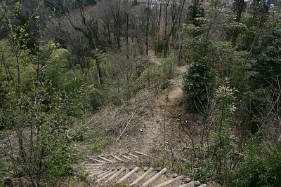 南東側の郭から伸びる尾根筋