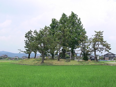 木舟城跡全景