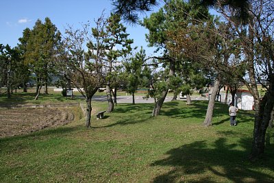 本丸東側土塁全景