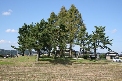 本丸西側土塁全景