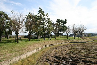 本丸東側土塁全景