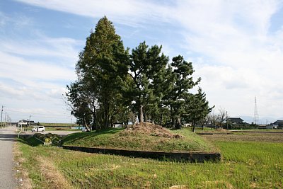 本丸西側土塁を城の西側から見る