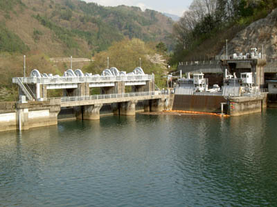 左岸から堤体を見る