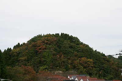 小島城遠景