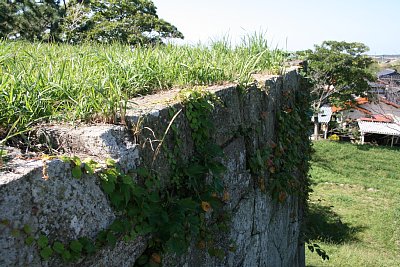 天守台の石垣は垂直に近い勾配です