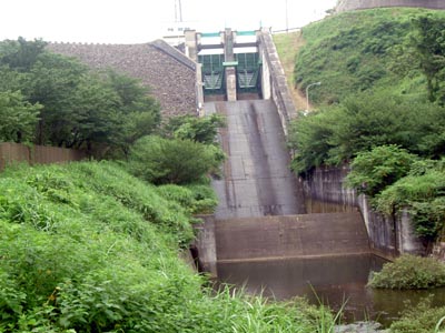 下流から導流路を望む