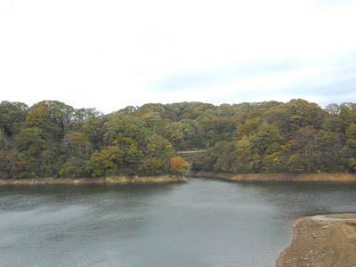 ダム湖