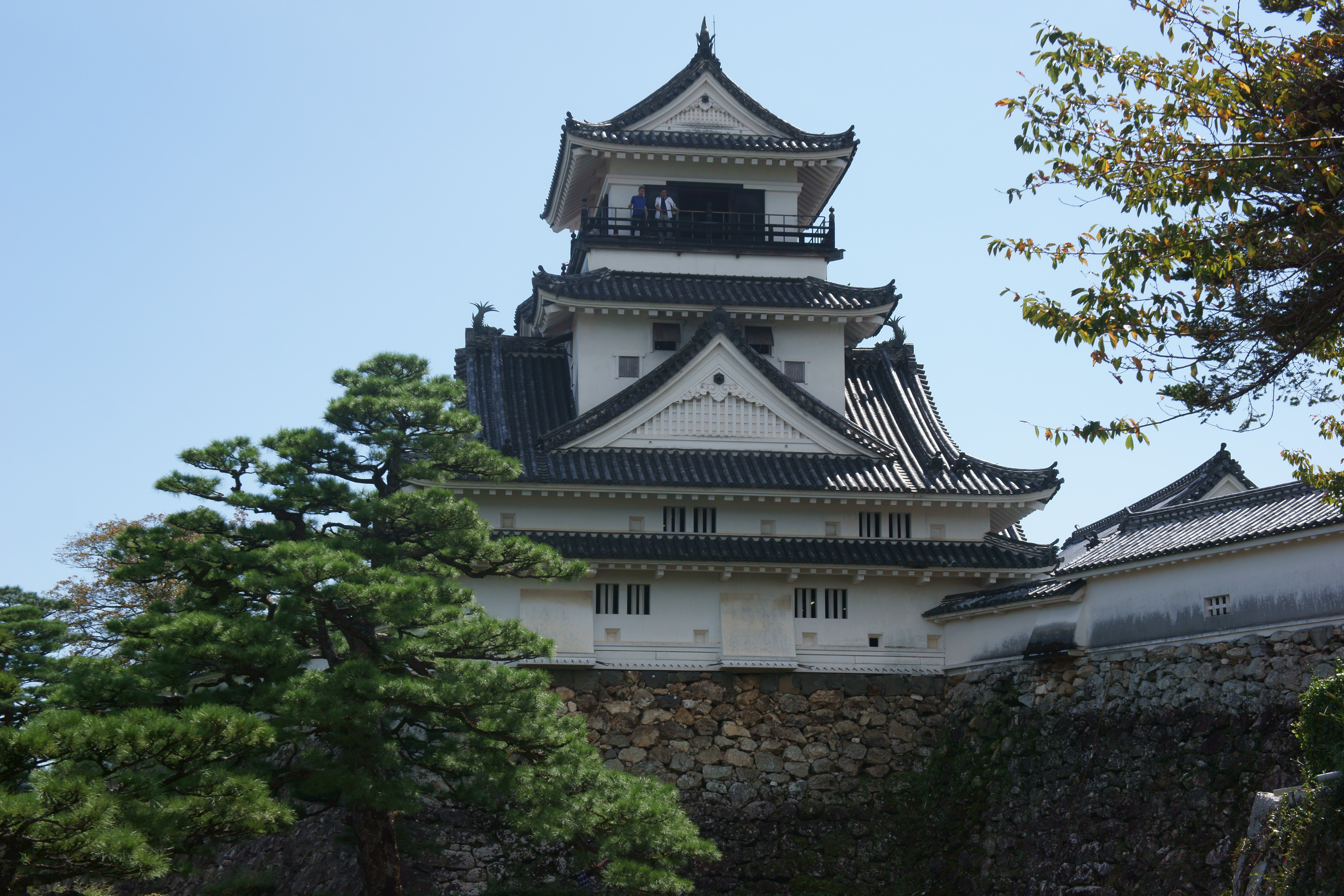 城 高知 高知城