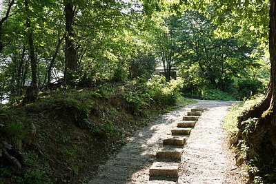 階段は遊歩道として良く整備されています