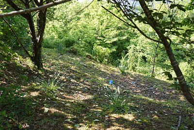 主郭の外側を帯郭が巡っています