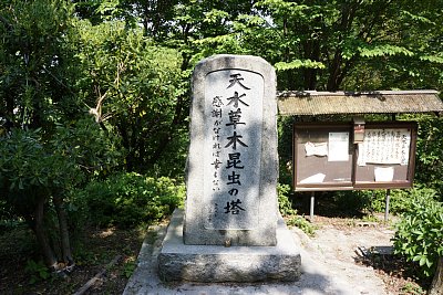 天水草木昆虫の塔