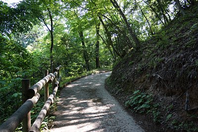 小浦城主郭へはここから登ります