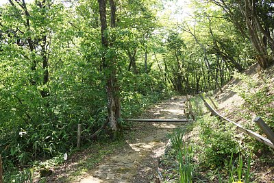 帯郭の両側が切岸です