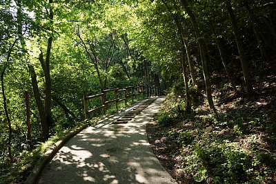 城跡への階段です