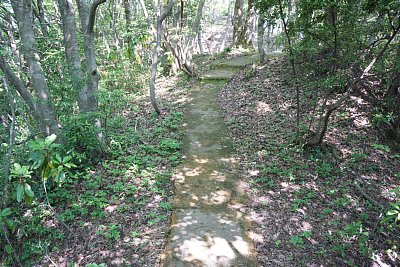 土橋状の通路です