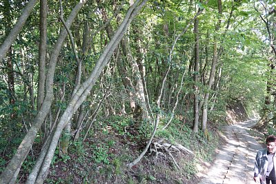 登城道はかなりの急勾配です