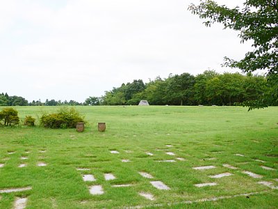 串田新遺跡住居址全景