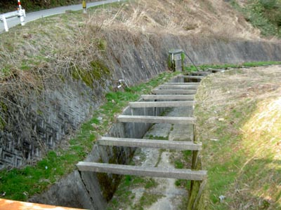 放流路