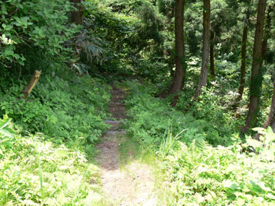 さらに急勾配の坂道を登ります